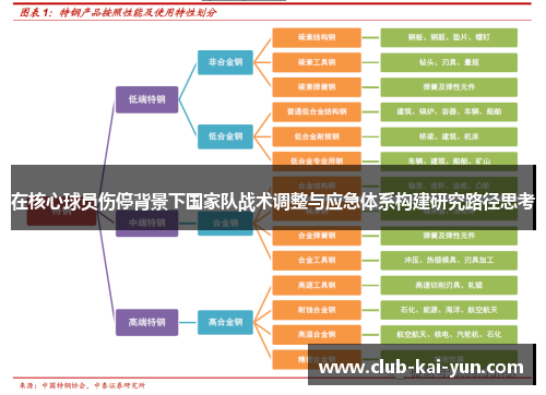 在核心球员伤停背景下国家队战术调整与应急体系构建研究路径思考