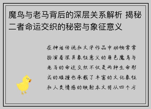 魔鸟与老马背后的深层关系解析 揭秘二者命运交织的秘密与象征意义